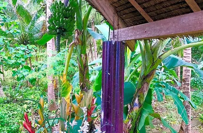 Camotes Cay Hideaway 3*